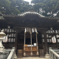 画像448
