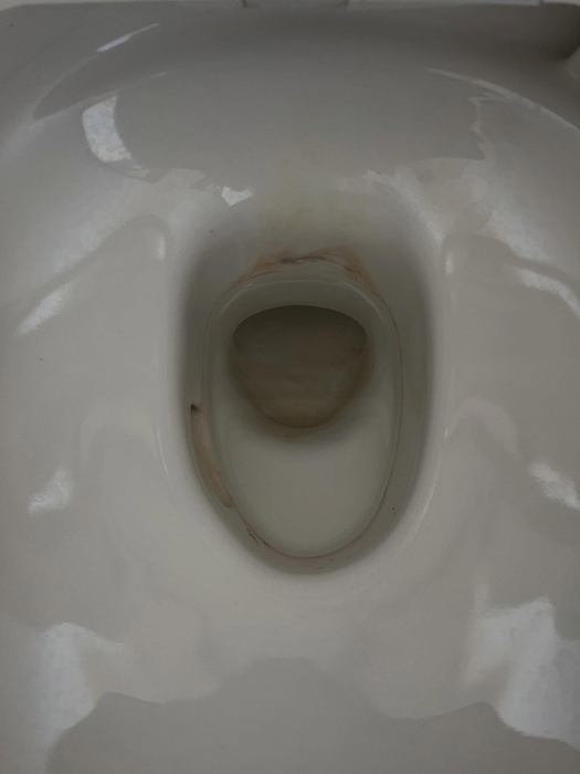 画像484