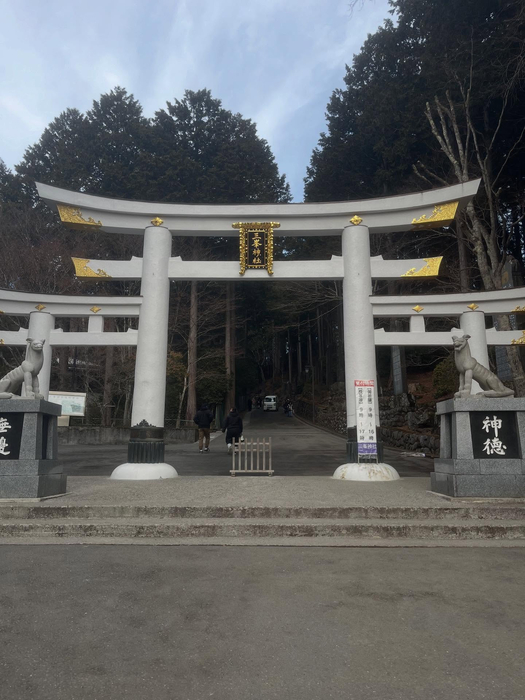 画像505