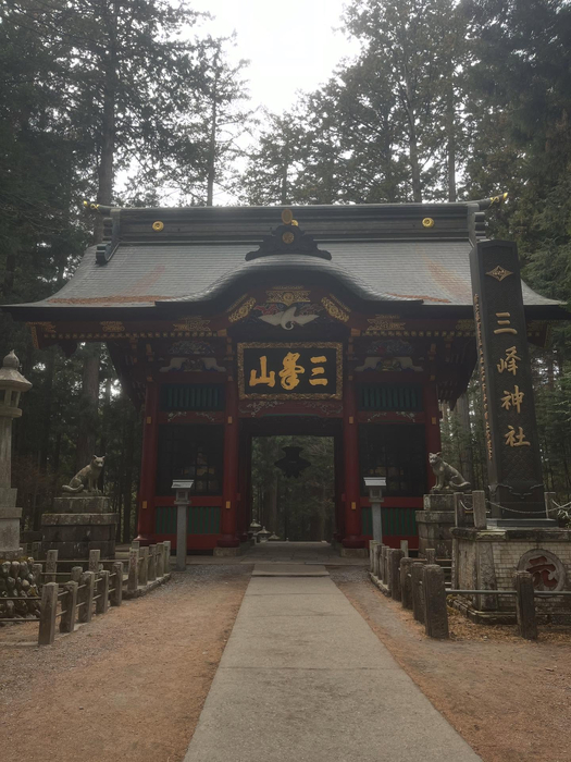 画像506