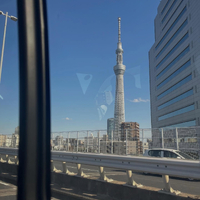 画像516