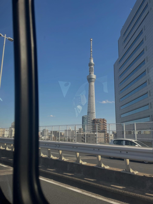 画像516